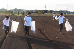 綾瀬花火大会 ﾎﾞﾗﾝﾃｨｱ清掃2.jpg